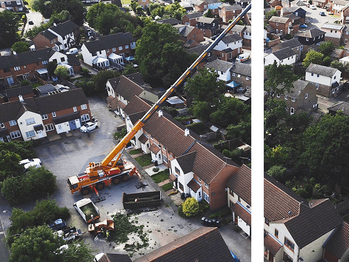 crane lifting tree